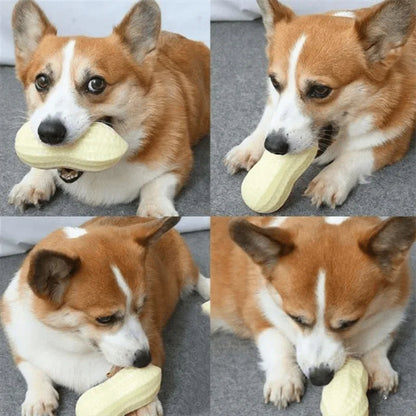 Dog Peanut Chewing Toy