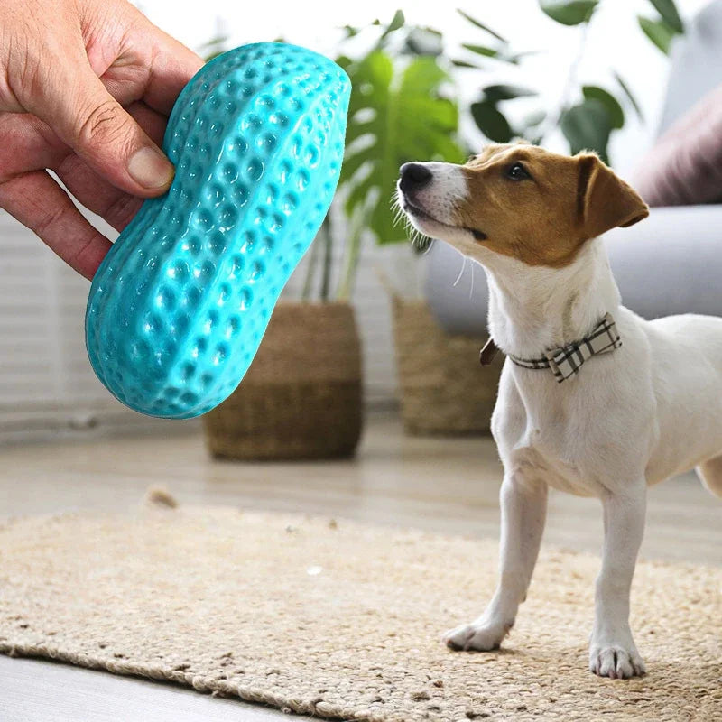 Dog Peanut Chewing Toy